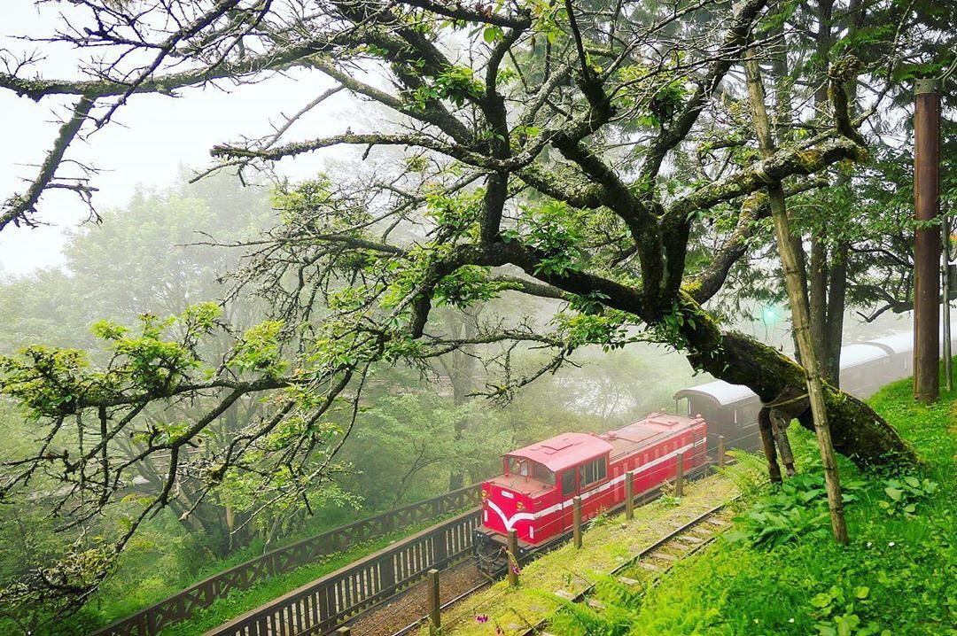 沒有櫻花的櫻花樹但還是很美-⠀⠀⠀⠀⠀⠀⠀⠀⠀⠀⠀⠀感謝 @corn_photo_life 分享的美照⛰️-⠀⠀⠀⠀⠀⠀⠀⠀⠀⠀⠀...