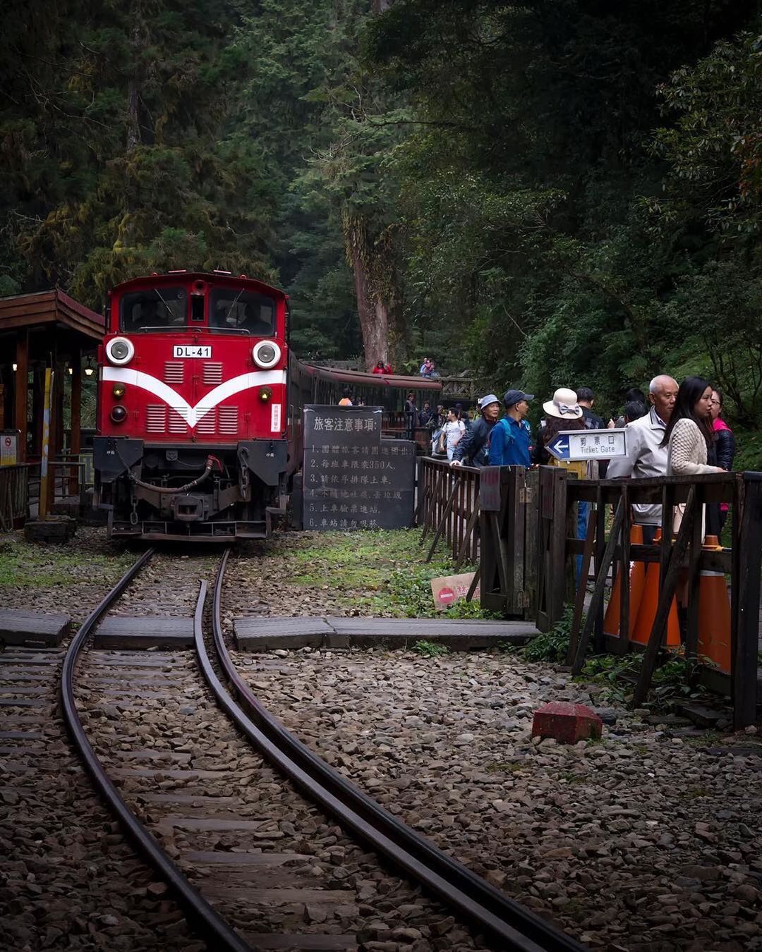 ⠀⠀⠀⠀⠀⠀⠀⠀⠀⠀⠀阿里山小火車就像是載著小時後的夢想一樣這麼簡單純粹☺️-⠀⠀⠀⠀⠀⠀⠀⠀⠀⠀⠀⠀感謝 @zhenyang31...
