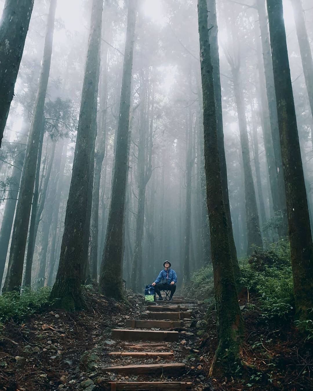 偶爾享受一下森林浴讓芬多精帶走煩惱和擔憂內心是如此地平靜與淡然-⠀⠀⠀⠀⠀⠀⠀⠀⠀⠀⠀⠀感謝 @wu_pi 分享的美照⛰️-⠀⠀⠀...