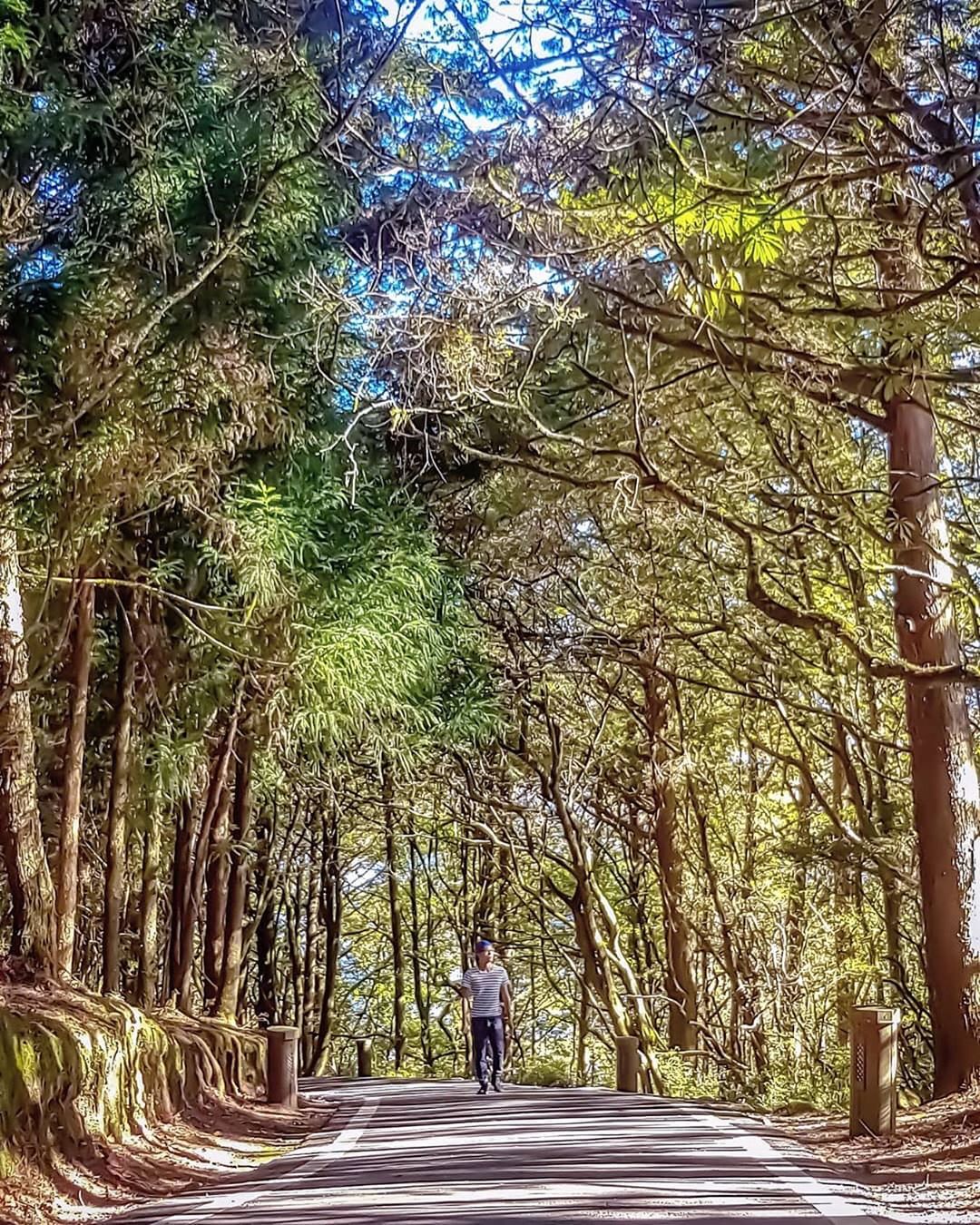 ⠀⠀⠀⠀⠀⠀⠀⠀⠀⠀⠀被樹林包圍的幸福-⠀⠀⠀⠀⠀⠀⠀⠀⠀⠀⠀⠀感謝 @chiuan29  分享的美照⛰️-⠀⠀⠀⠀⠀⠀⠀⠀⠀⠀⠀...