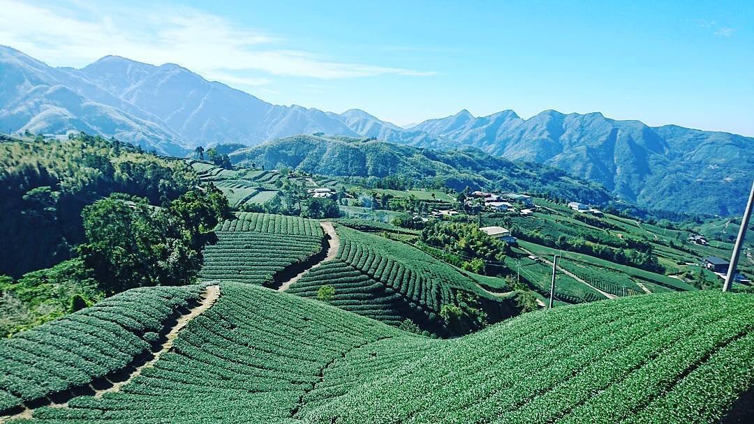 ⠀⠀⠀⠀⠀⠀⠀⠀⠀⠀⠀休閒一下☺️-⠀⠀⠀⠀⠀⠀⠀⠀⠀⠀⠀⠀感謝  @john2210sal  分享的美照⛰️-⠀⠀⠀⠀⠀⠀⠀⠀⠀...