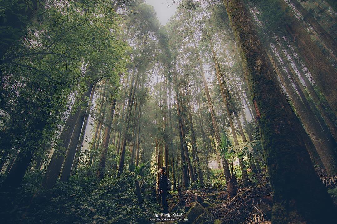 ⠀⠀⠀⠀⠀⠀⠀⠀⠀⠀⠀爬的越高看的越多-⠀⠀⠀⠀⠀⠀⠀⠀⠀⠀⠀⠀感謝 @kang_0113 分享的美照⛰️-⠀⠀⠀⠀⠀⠀⠀⠀⠀⠀⠀...