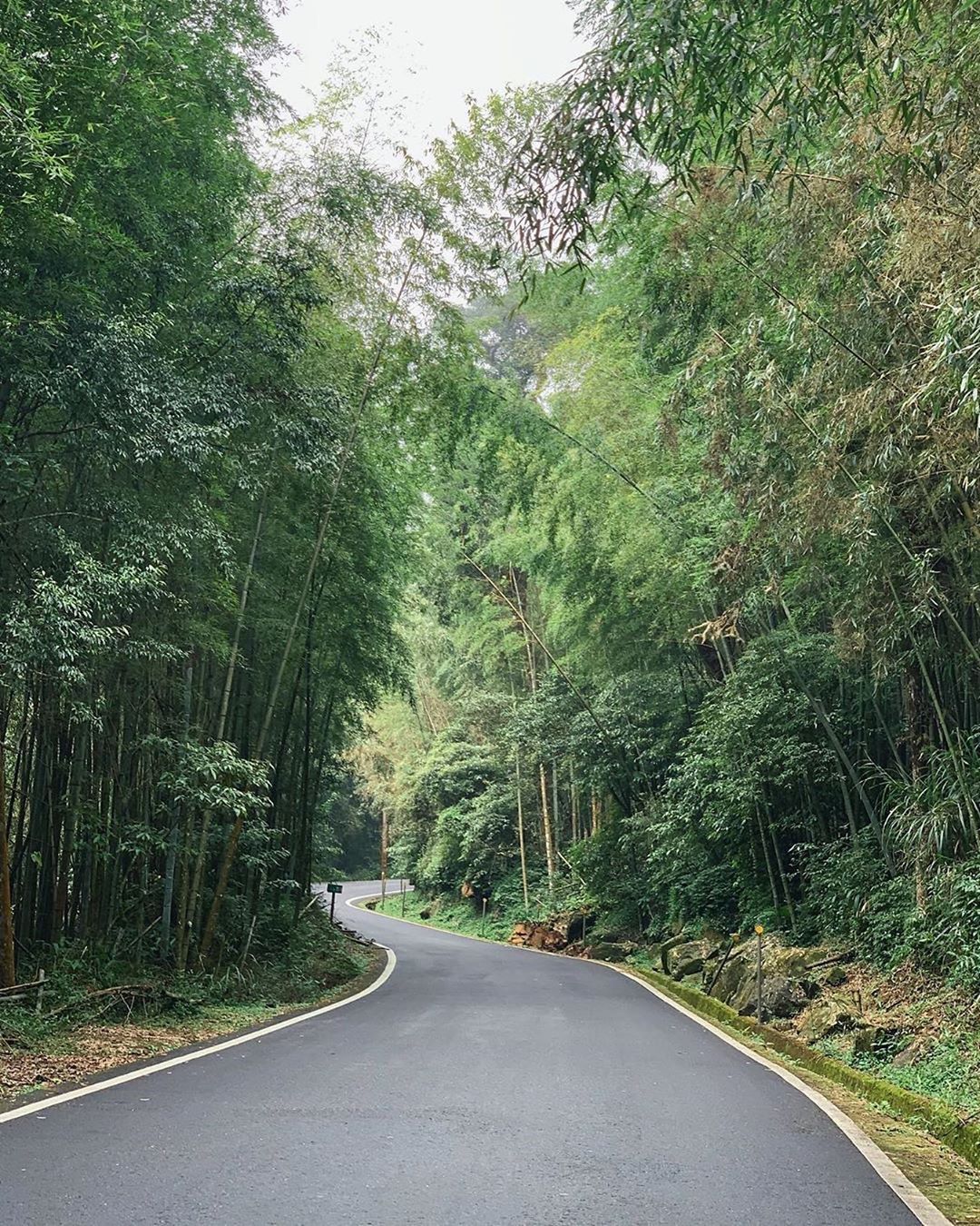 ⠀⠀⠀⠀⠀⠀⠀⠀⠀⠀⠀蜿蜒的道路雖然崎嶇但總會有平順的那時候的-⠀⠀⠀⠀⠀⠀⠀⠀⠀⠀⠀⠀感謝 @wife_fat_gii 分享的美...