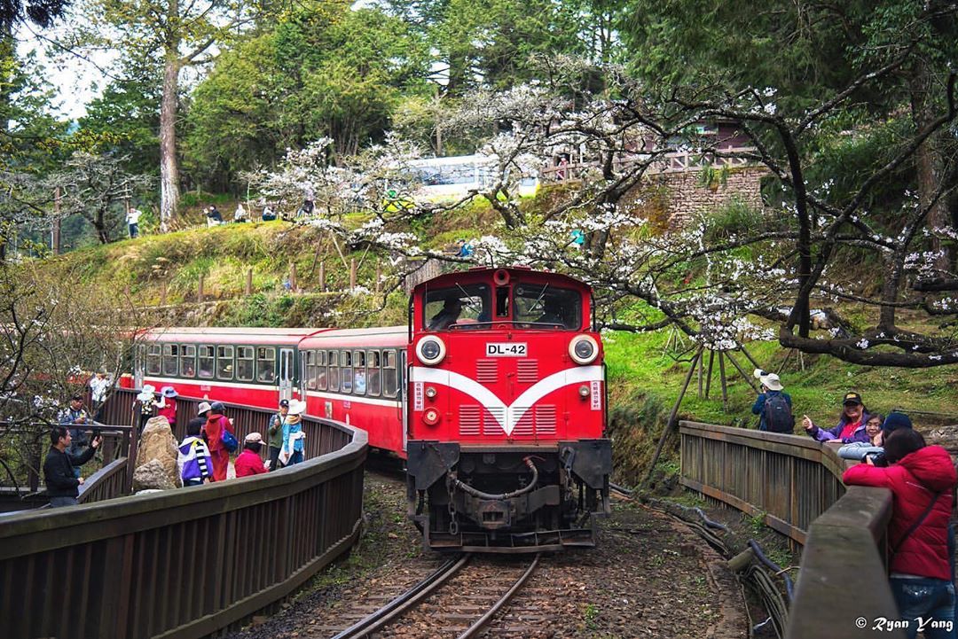 ⠀⠀⠀⠀⠀⠀⠀⠀⠀⠀⠀小火車真的很可愛-⠀⠀⠀⠀⠀⠀⠀⠀⠀⠀⠀⠀感謝 @ryanyang_ 分享的美照⛰️-⠀⠀⠀⠀⠀⠀⠀⠀⠀⠀⠀...