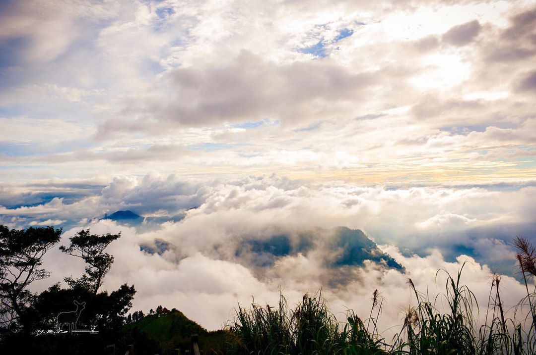 ⠀⠀⠀⠀⠀⠀⠀⠀⠀⠀⠀你是否跟⛰️編一樣，看著同一片雲海？-⠀⠀⠀⠀⠀⠀⠀⠀⠀⠀⠀⠀感謝 @taiwan1600 分享的美照⛰️-...