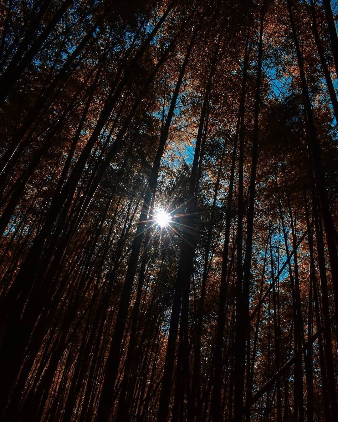 即時在灰暗的地方偶爾抬頭一看也會有溫暖的陽光喔-⠀⠀⠀⠀⠀⠀⠀⠀⠀⠀⠀感謝 @photobible28 分享的美照-⠀⠀⠀⠀⠀⠀⠀...