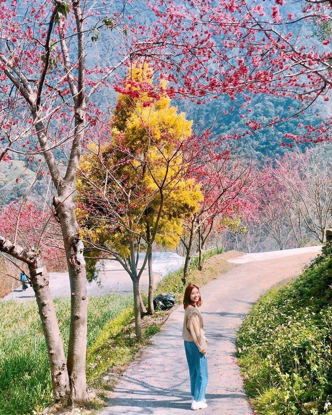 祝各位今天的心情就像照片一樣繽紛美麗假日我來啦啦啦啦啦-⠀⠀⠀⠀⠀⠀⠀⠀⠀⠀⠀感謝 @ivytraveltheworld  分享的...