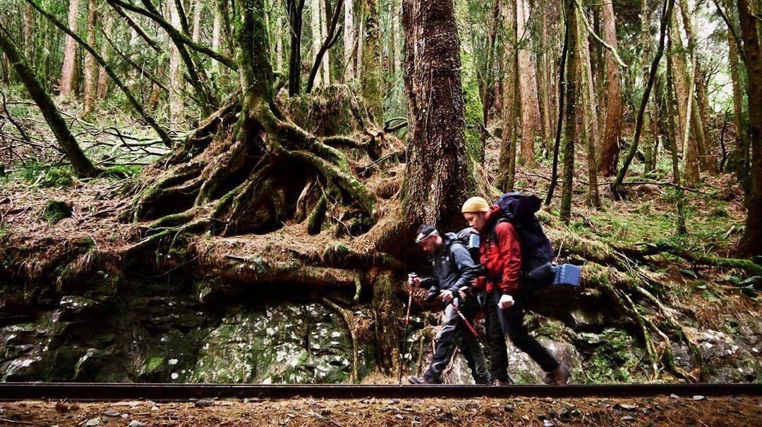 揹著行囊前行的人們為的是前方的風景自己也成了一幅美景-⠀⠀⠀⠀⠀⠀⠀⠀⠀⠀⠀感謝 @tainanrichriver  分享的美照-...