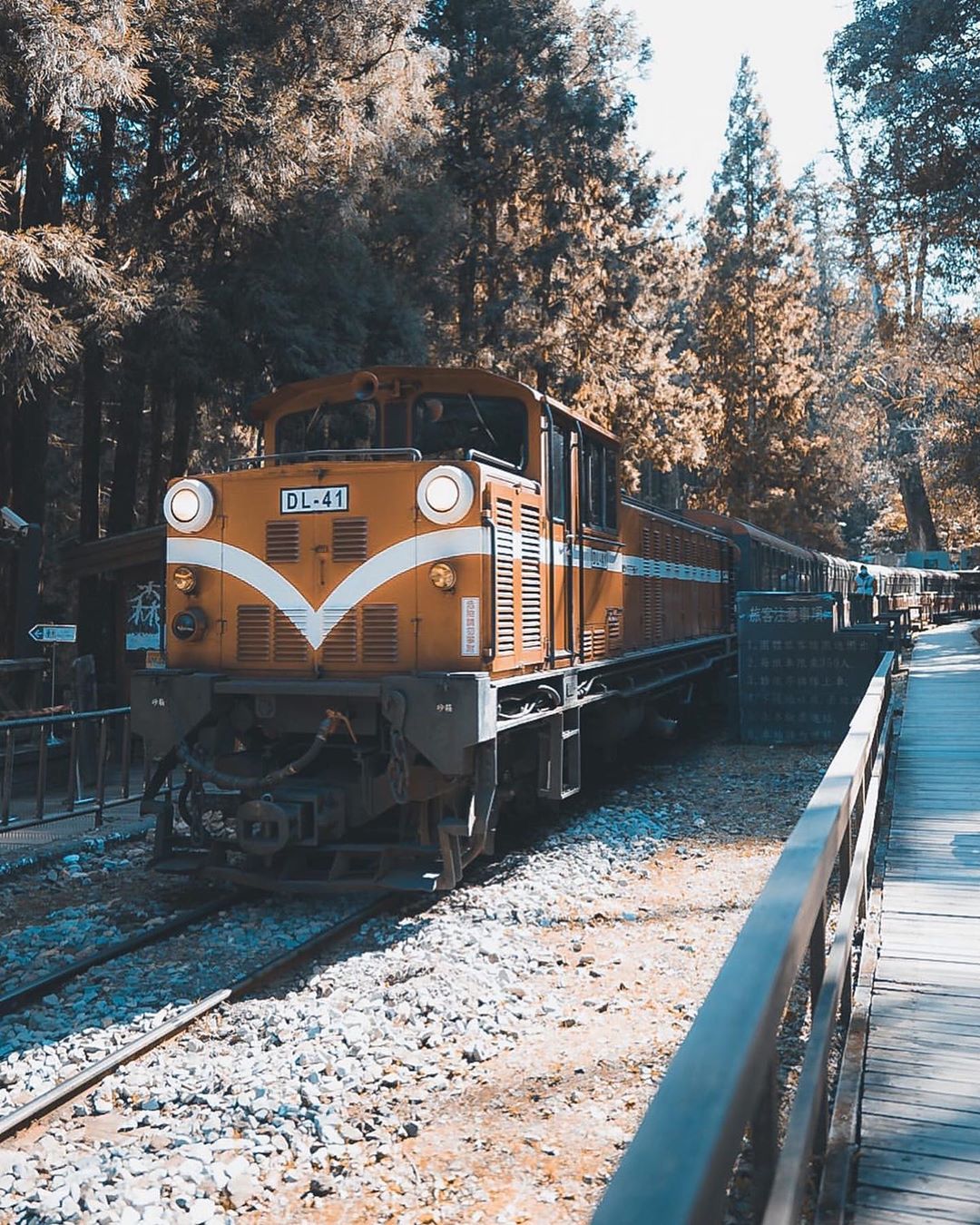 阿里山小火車的歷史比你我都還長所以來到阿里山一定要體驗小火車扣隆叩隆的聲音，跟一般鐵路火車很不一樣鳴笛的瞬間也是懷舊的美感-⠀⠀⠀...