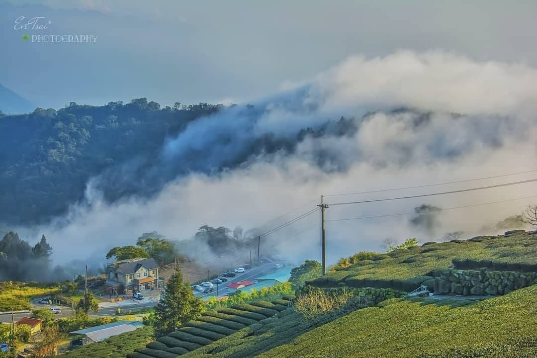 Country roads, take me home#好想在上面滾啊滾啊滾#讓身上沾滿茶香-⠀⠀⠀⠀⠀⠀⠀⠀⠀⠀⠀感謝 @eve...