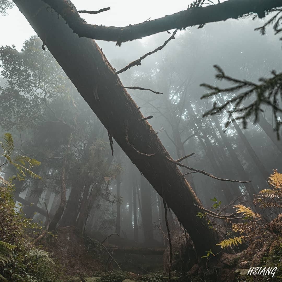 霧氣是天然的半透明圖層#下禮拜聽說又會變冷-⠀⠀⠀⠀⠀⠀⠀⠀⠀⠀⠀感謝 @rockbull1218  分享的美照-⠀⠀⠀⠀⠀⠀⠀⠀...