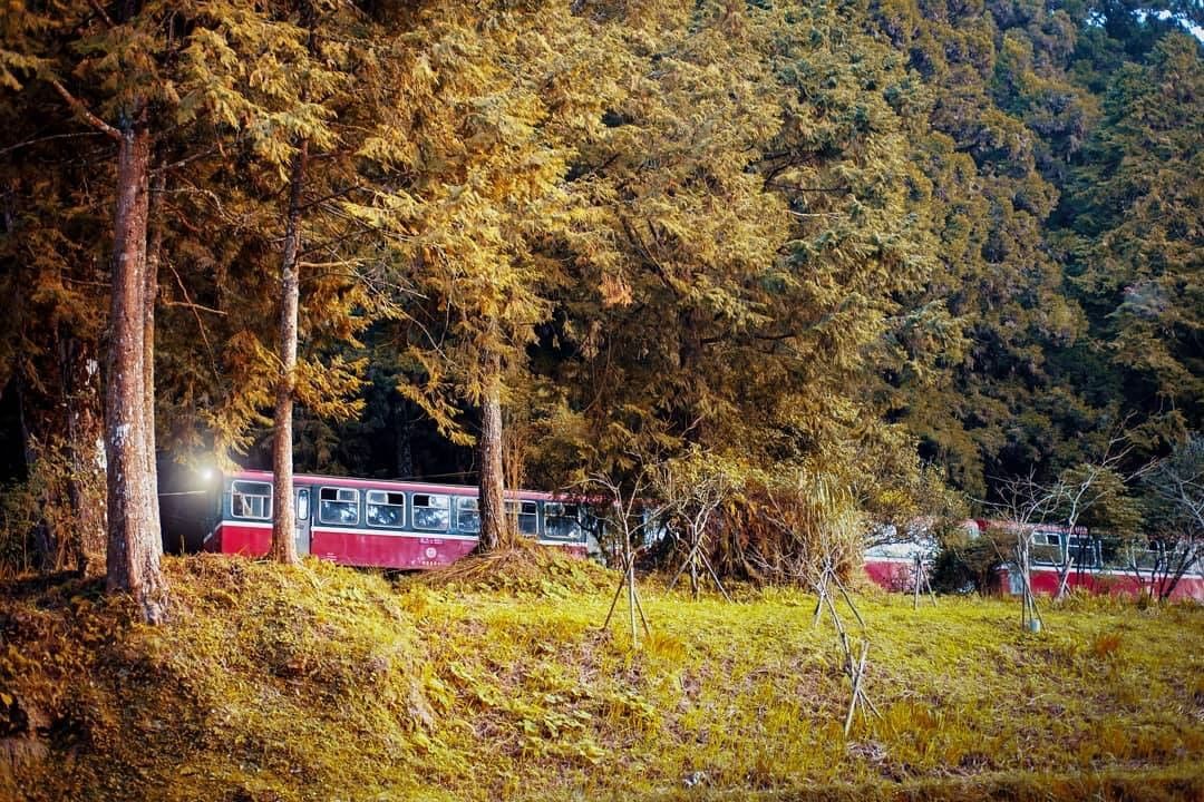 穿梭在森林裡的小火車就是如此的可愛#編編也很常穿梭在森林裡 #跑步會有咻咻咻的聲音#忍者跑法 ((有點中二-⠀⠀⠀⠀⠀⠀⠀⠀⠀⠀⠀...
