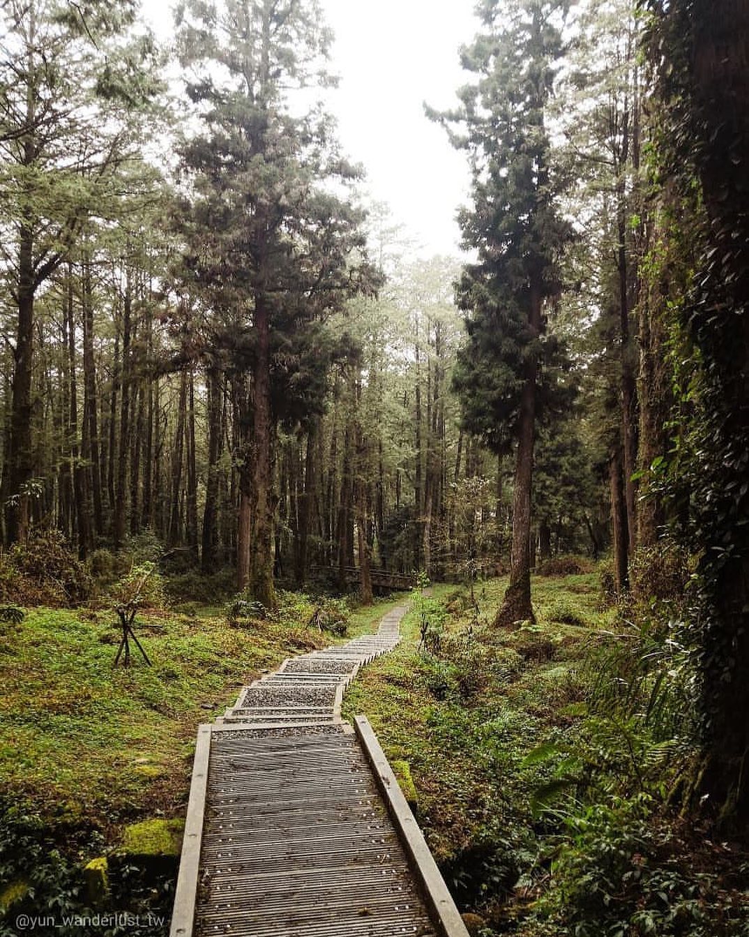 在這徉徜山林小徑呼吸著芬多精，頓時豁然開朗-⠀⠀⠀⠀⠀⠀⠀⠀⠀⠀⠀感謝 @yun_wanderlust_tw  分享的美照-⠀⠀⠀...