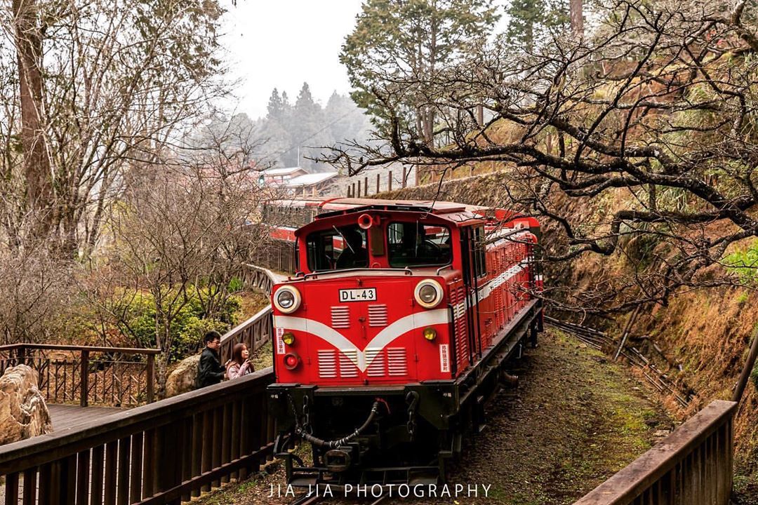 好久不見的阿里山小火車可惜缺了一片櫻花-⠀⠀⠀⠀⠀⠀⠀⠀⠀⠀⠀感謝 @tohse 分享的美照-⠀⠀⠀⠀⠀⠀⠀⠀⠀⠀⠀⠀ #trav...