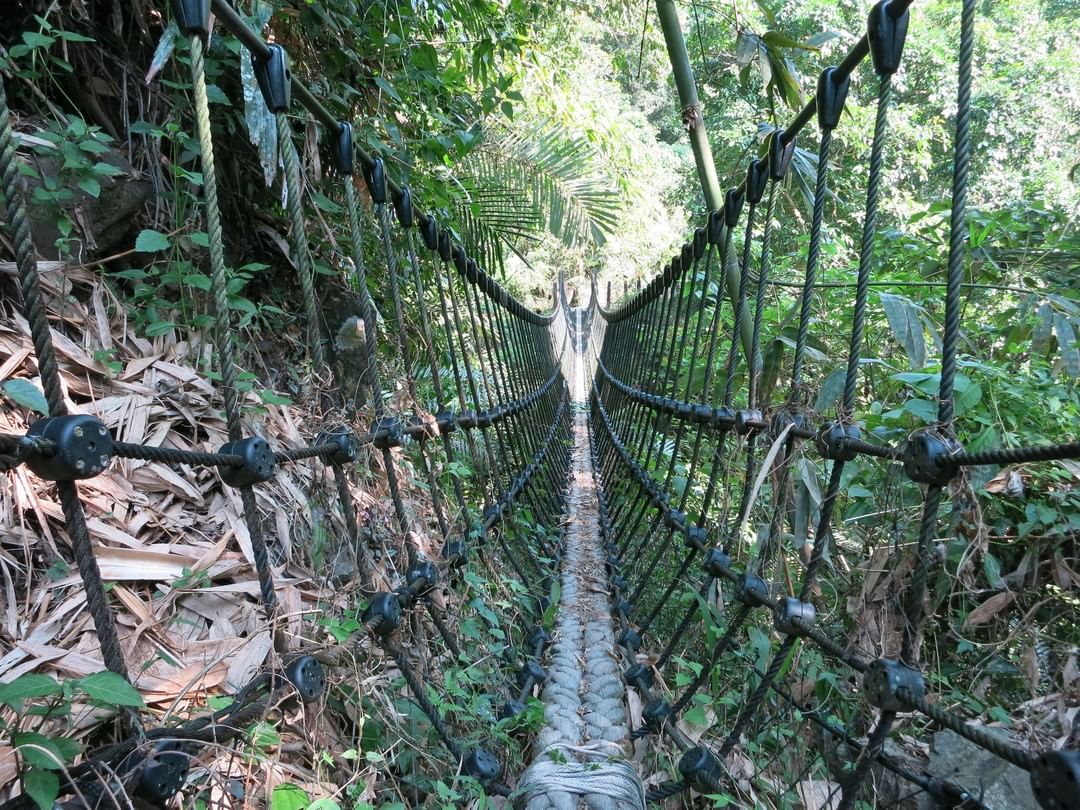 想不到阿里山也有疑似五百障礙的繩橋 ⛰里美避難步道步道位於里佳部落與山美部落之間，原先即為鄒族使用的古道，因日據時期另闢了步道，古...