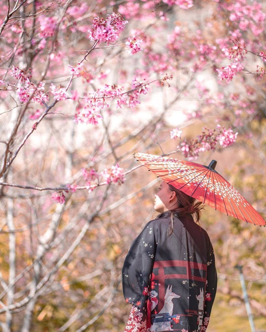 雖然櫻花祭已過但櫻花的美景永遠存我們心中❤-⠀⠀⠀⠀⠀⠀⠀⠀⠀⠀⠀感謝 @kim.12.30 分享的美照-⠀⠀⠀⠀⠀⠀⠀⠀⠀⠀⠀⠀...