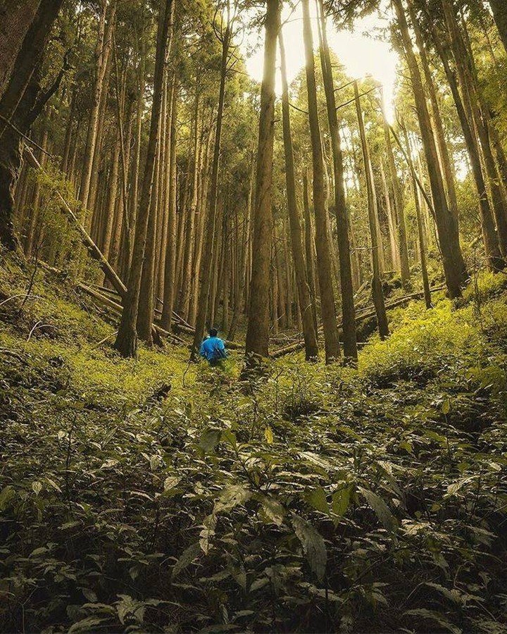 小編辛苦工作是為了能夠在休假時看到更遠的風景。剩下一天，大家說說你辛苦工作是為了什麼呢？ -感謝 @kai_image918  提...