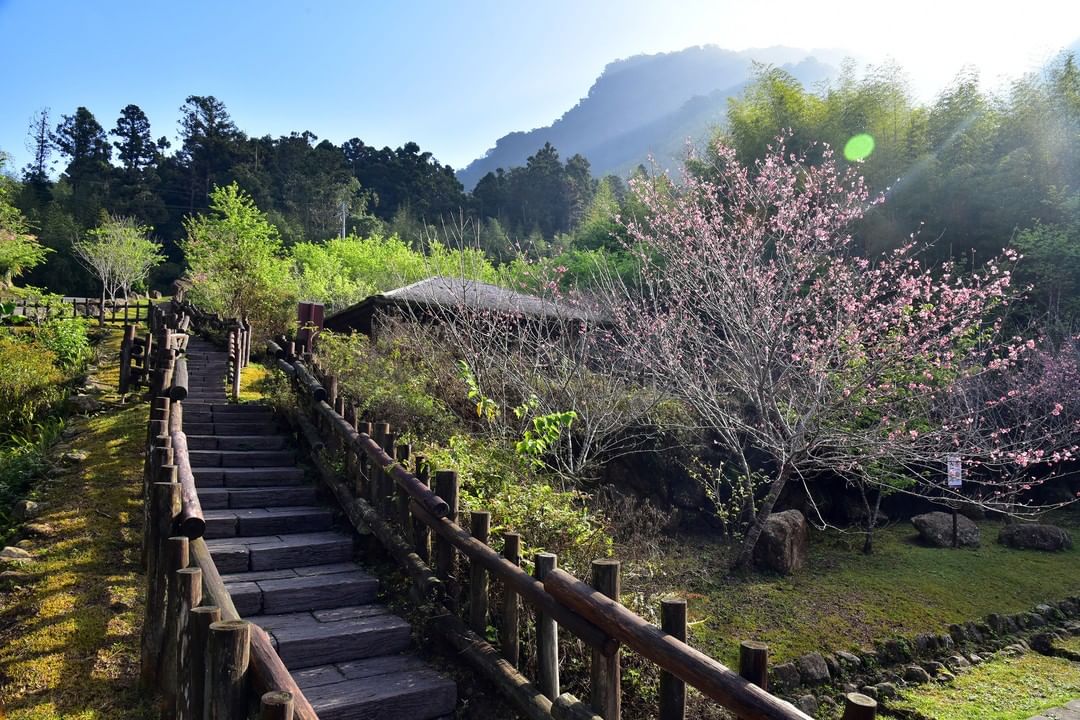 大家知道為什麼稱迷糊步道嗎❓小知識：因連接米洋溪和湖底溪，鄒族村民取「米」、「湖」二字諧音命名！-⠀⠀⠀⠀⠀⠀⠀⠀⠀⠀⠀⠀⠀⠀⠀⠀...