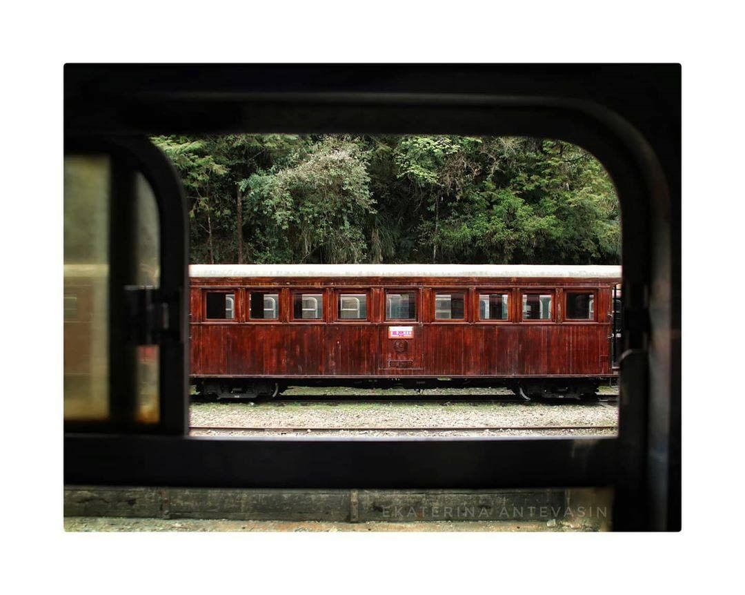 在你眼中阿里山小火車是什麼樣子呢？-⠀⠀⠀⠀⠀⠀⠀⠀⠀⠀⠀感謝 @_antevasin_ 分享的美照-⠀⠀⠀⠀⠀⠀⠀⠀⠀⠀⠀⠀ #...