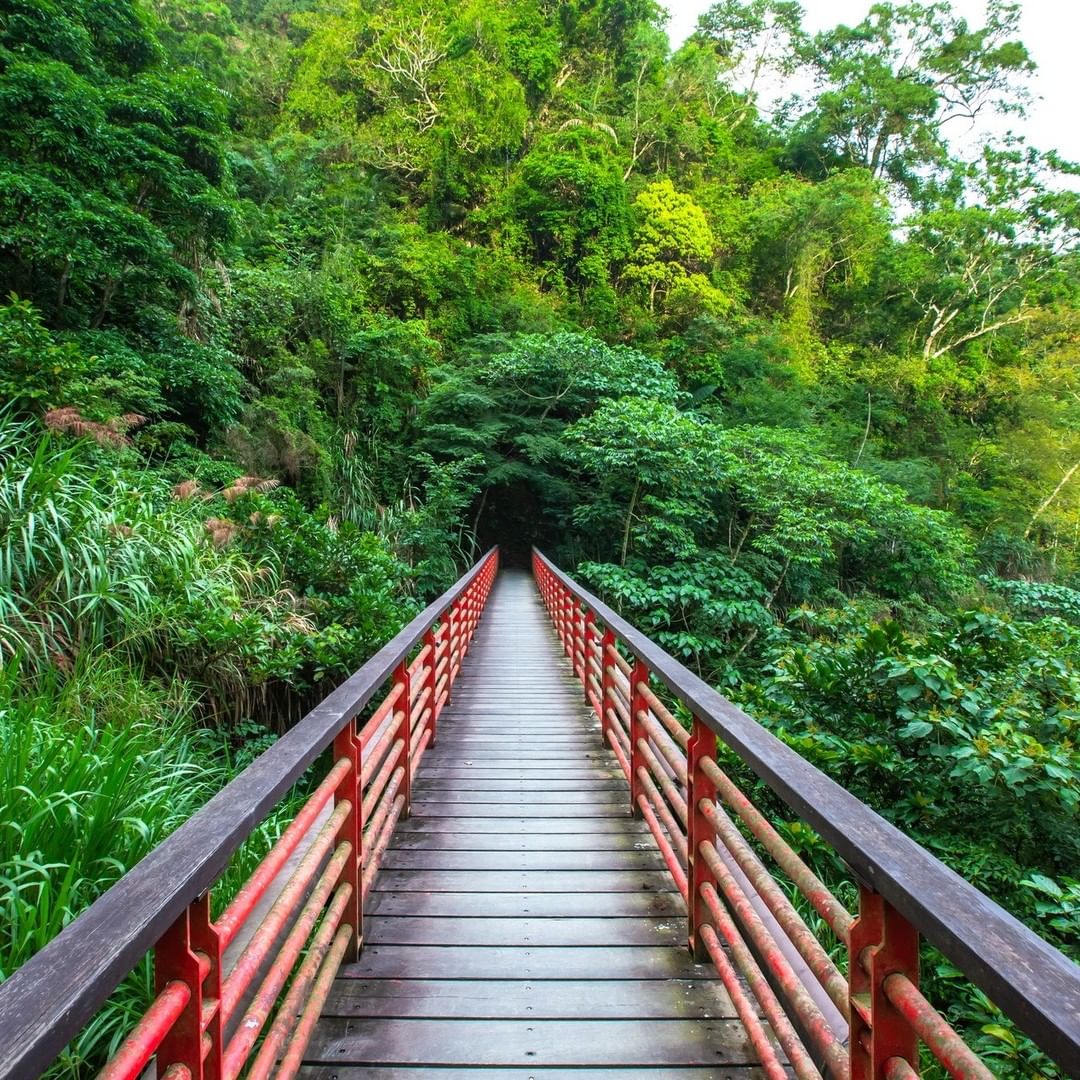 過了這個橋，你就會改名叫小千 ‍♀無臉男會拿金幣出現  還有一條白色的龍 -⠀⠀⠀⠀⠀⠀⠀⠀ #travelalishan 或 @...