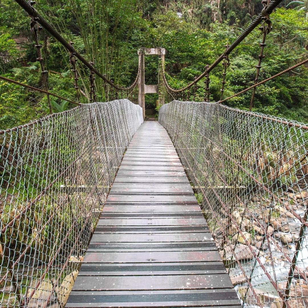 宛如電影賽德克巴萊裡的吊橋-⠀⠀⠀⠀⠀⠀⠀⠀⠀⠀⠀⠀ #travelalishan 或 @travelalishan讓你的阿里山美...