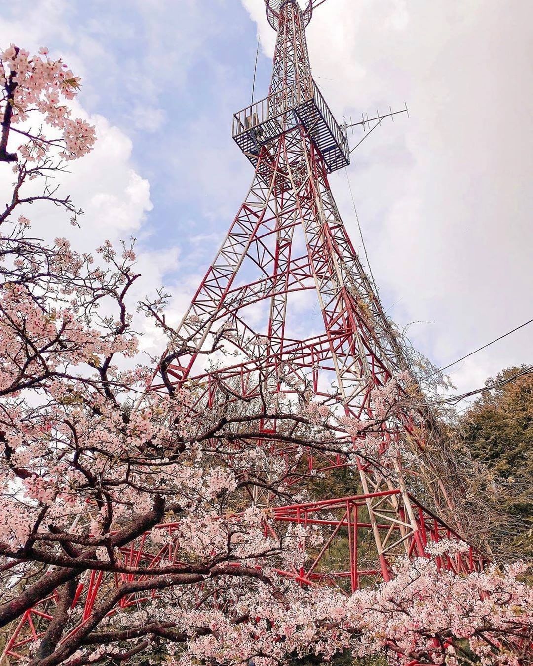 這個有像艾菲爾鐵塔不過這個比較漂亮有櫻花-⠀⠀⠀⠀⠀⠀⠀⠀⠀⠀⠀感謝 @fenfen_13 分享的美照-⠀⠀⠀⠀⠀⠀⠀⠀⠀⠀⠀⠀ ...
