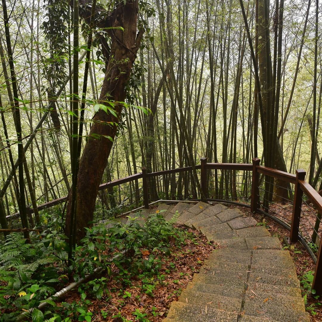 太興岩U型步道 請勿在此 Deja vu -⠀⠀⠀⠀⠀⠀⠀⠀⠀⠀⠀⠀ #travelalishan 或 @travelalisha...