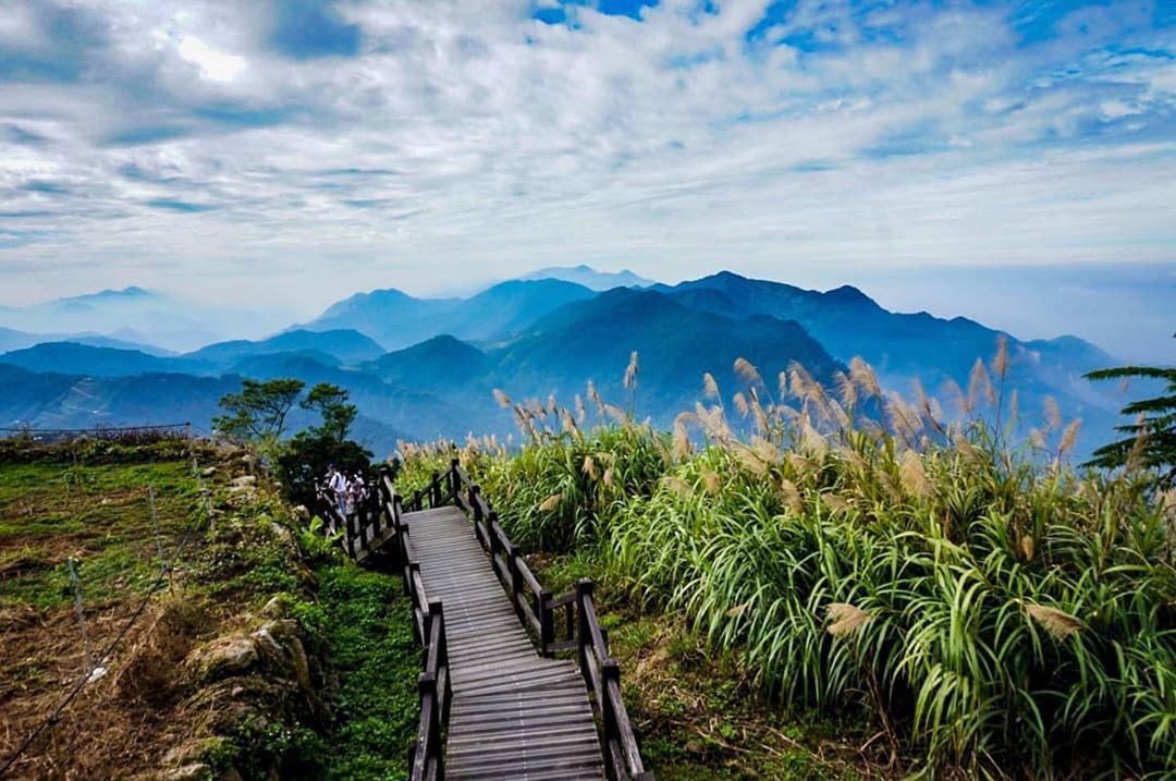 ⛰二延平步道二延平步道是阿里山很值得一遊的步道日出、雲海、雲瀑一次看個夠！感謝 @cheng0916349759 提供超棒照片- ...