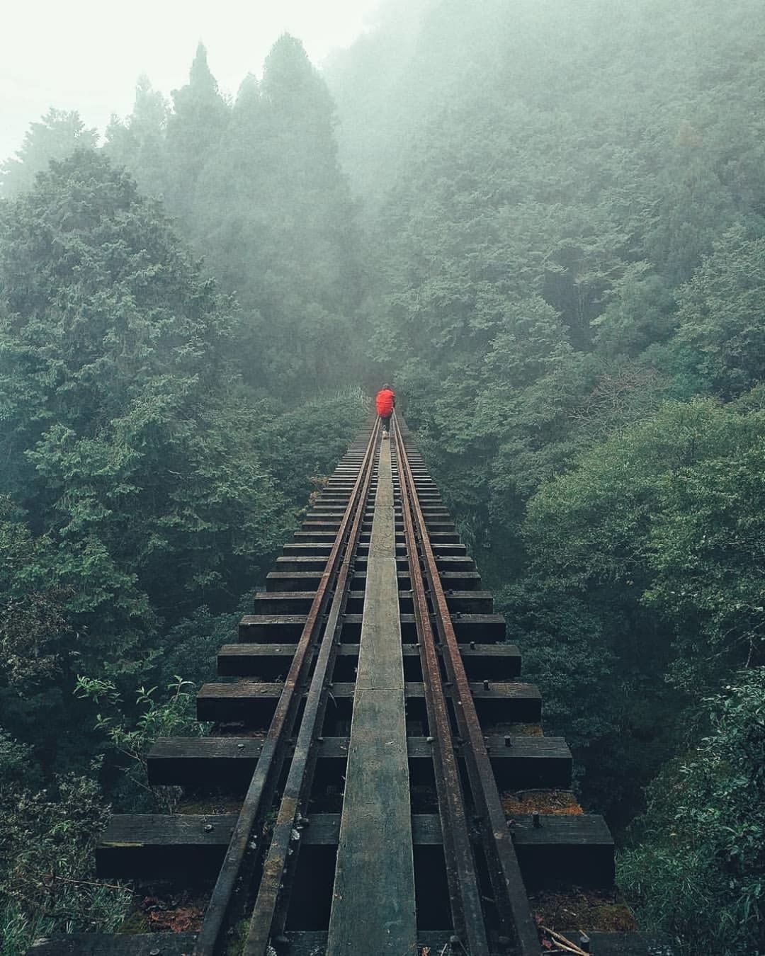 ⛰眠月線阿里山除了親子皆宜的步道，也有較具挑戰的登山路線，風景同樣棒棒棒不過千萬要備好專業裝備，還有好體能、適宜的天氣才能出發喔！...