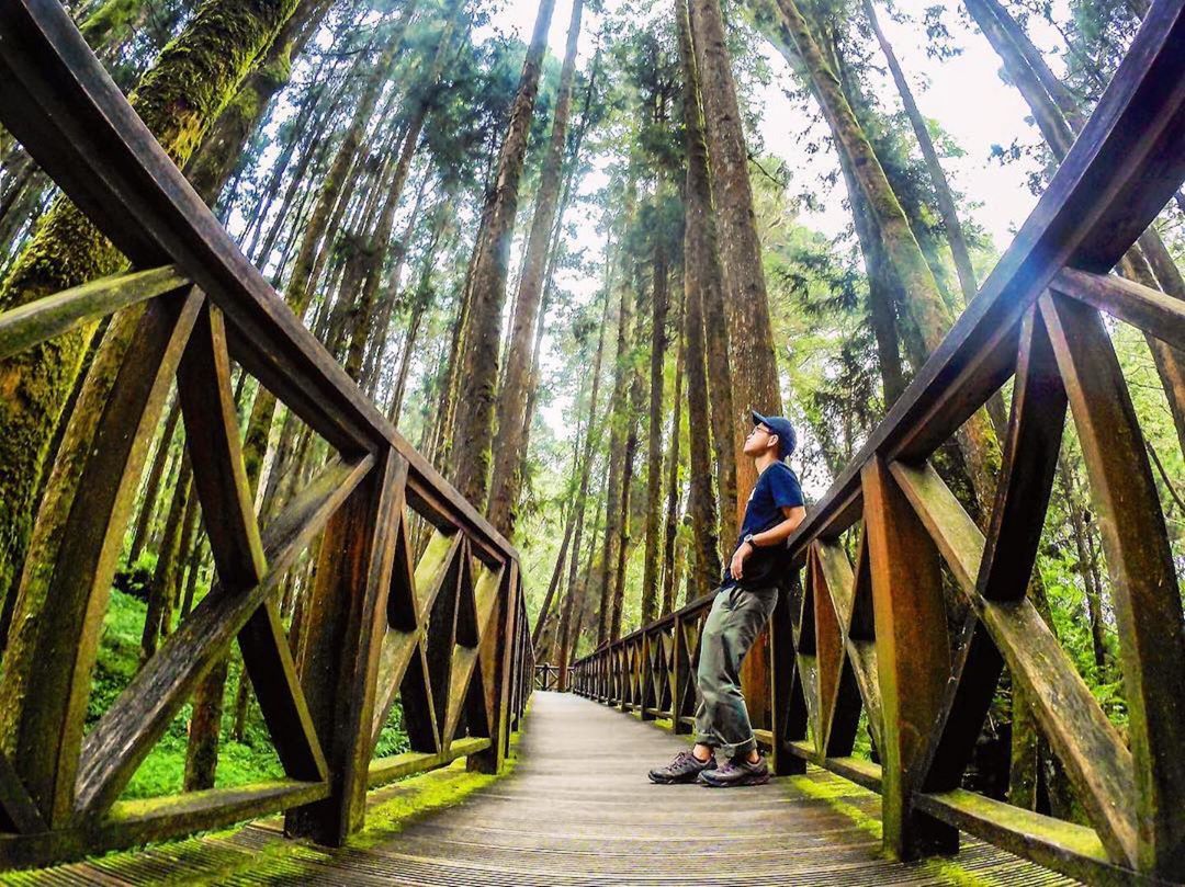 ⛰阿里山@yehethan：「期待下一次上山」-感謝@yehethan 提供超棒照片- #travelalishan 或 @tra...