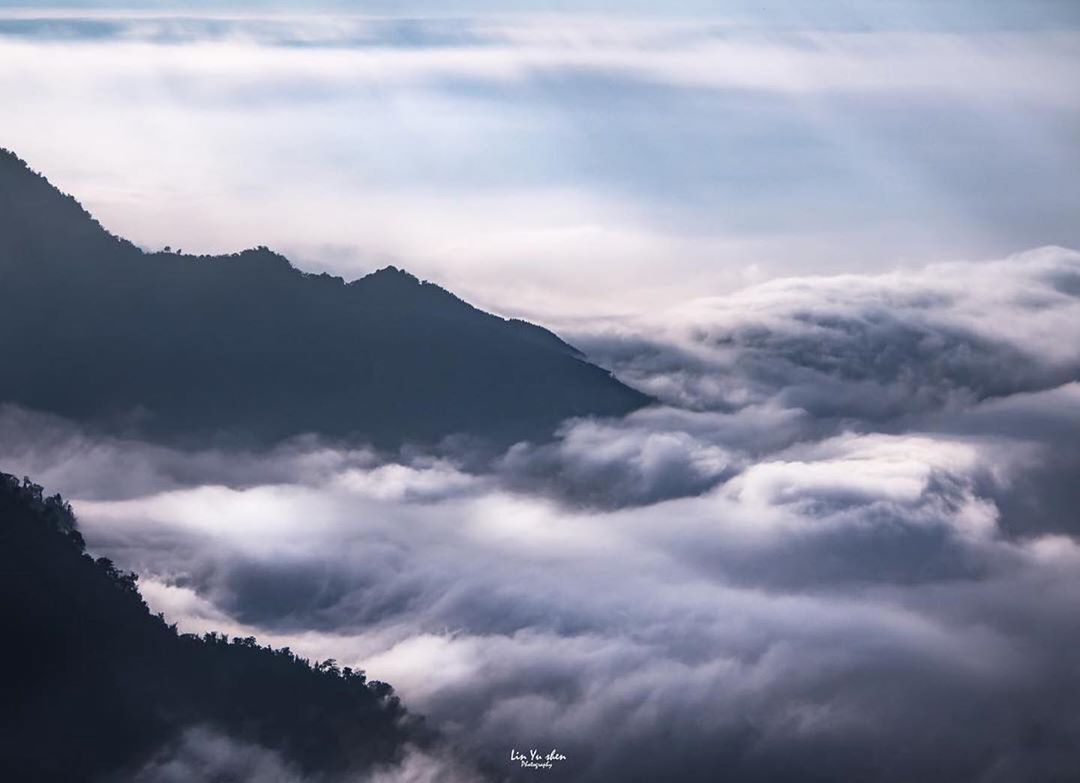 ⛰隙頂喜歡陽光耀眼的阿里山，但灰濛的日子也很有意境啊-感謝@lys.0304 提供超棒照片- #travelalishan 或 @...