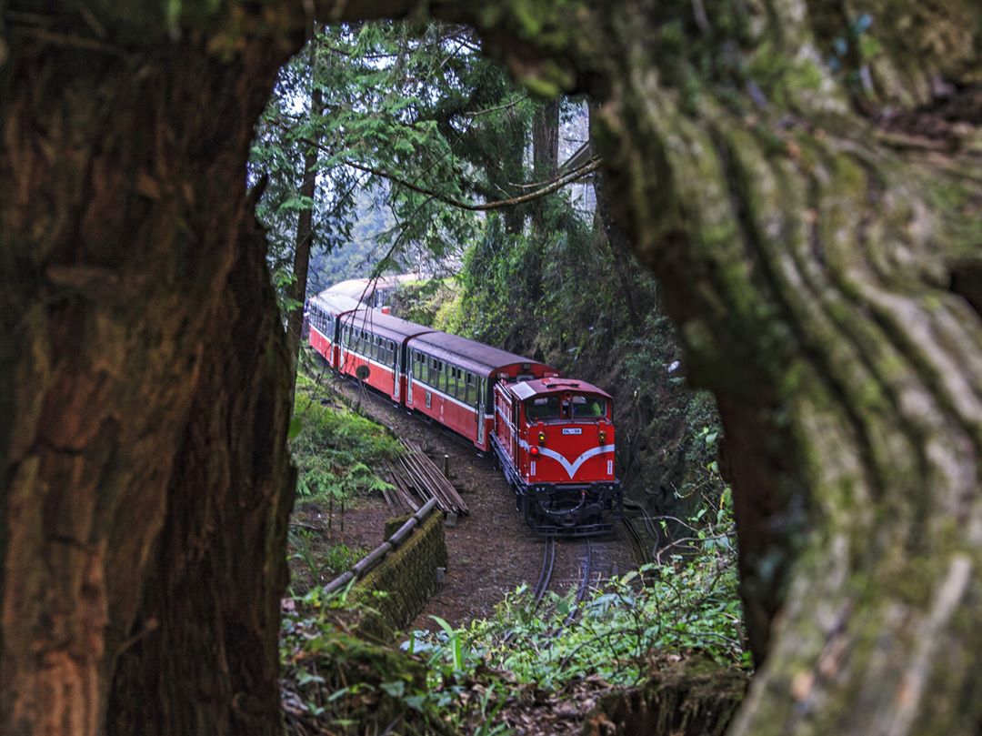 ⛰阿里山新年快樂2019年希望大家不必翻山越嶺，跟阿里山小火車一樣順行- #travelalishan 或 @travelalis...