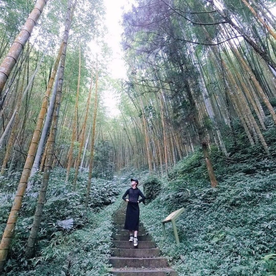 ⛰阿里山很美很美一起來阿里山當紅、橙、黃、綠、藍、靛、紫、黑、白、灰衣小女孩啦～～～-感謝 @may80242000 提供超棒照片...
