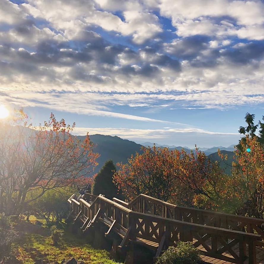 ⛰阿里山最喜歡秋冬的顏色了秋冬也正是適合玩阿里山的季節！知道春節連假該去哪了嗎？ -感謝 @shihyu_balloon 提供超棒...