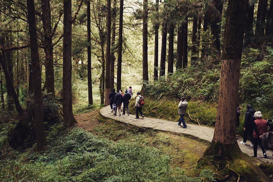 ⛰阿里山走嘍！這週末就去阿里山的步道們走走吧-感謝 @pothaneam 提供提供超棒照片- #travelalishan 或 @...