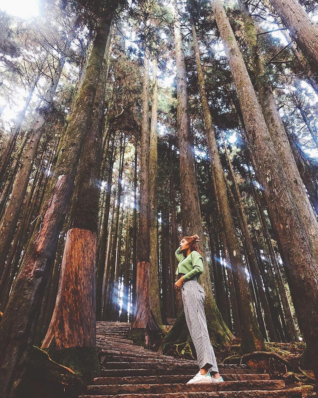 ⛰阿里山@qmumesweet："當陽光刺進雙眼我要ㄧ步ㄧ步往上爬。" 週末補班，小編也很需要往前爬的正能量-感謝 @qmumes...