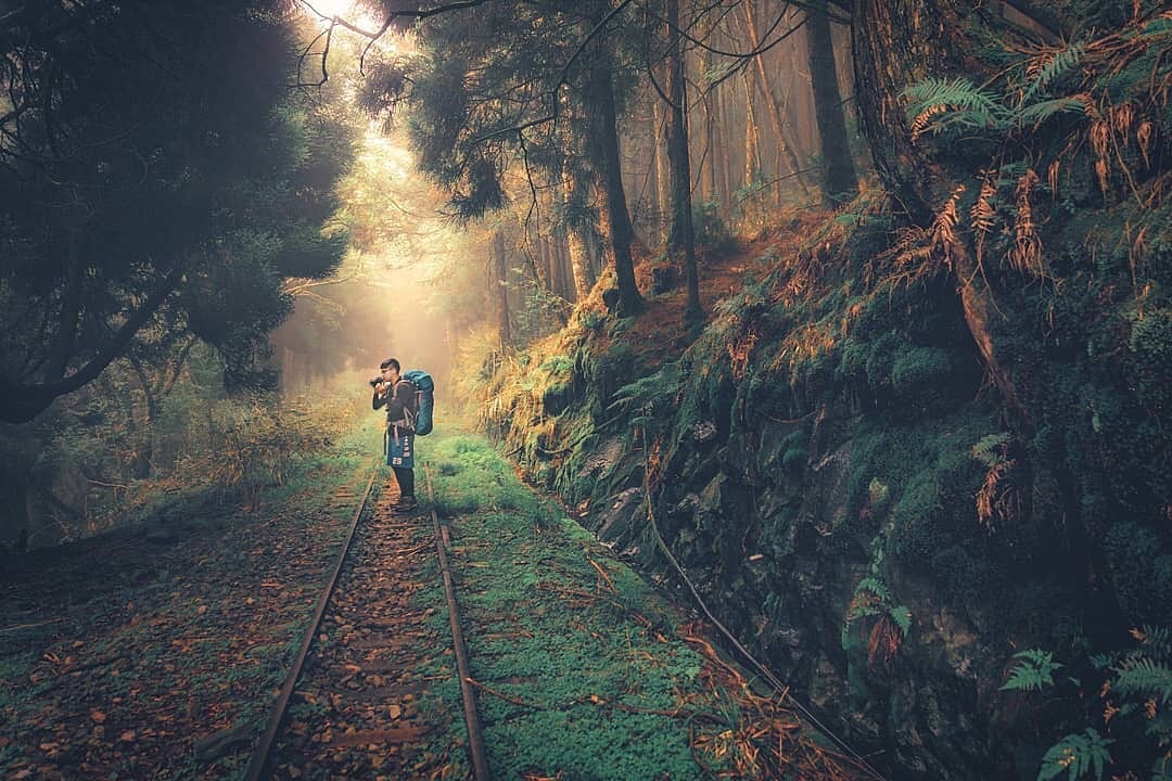 陽光普照著這片森林在鐵軌上映出一片綠地-感謝 @hyst_306 提供超棒照片- #travelalishan 或 @travel...