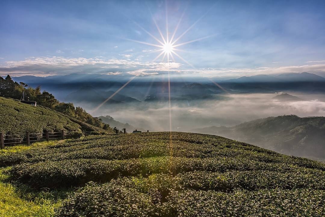 帶著情人來阿里山看日出也是很浪漫-感謝 @jitingtian 提供超棒照片- #travelalishan 或 @travela...