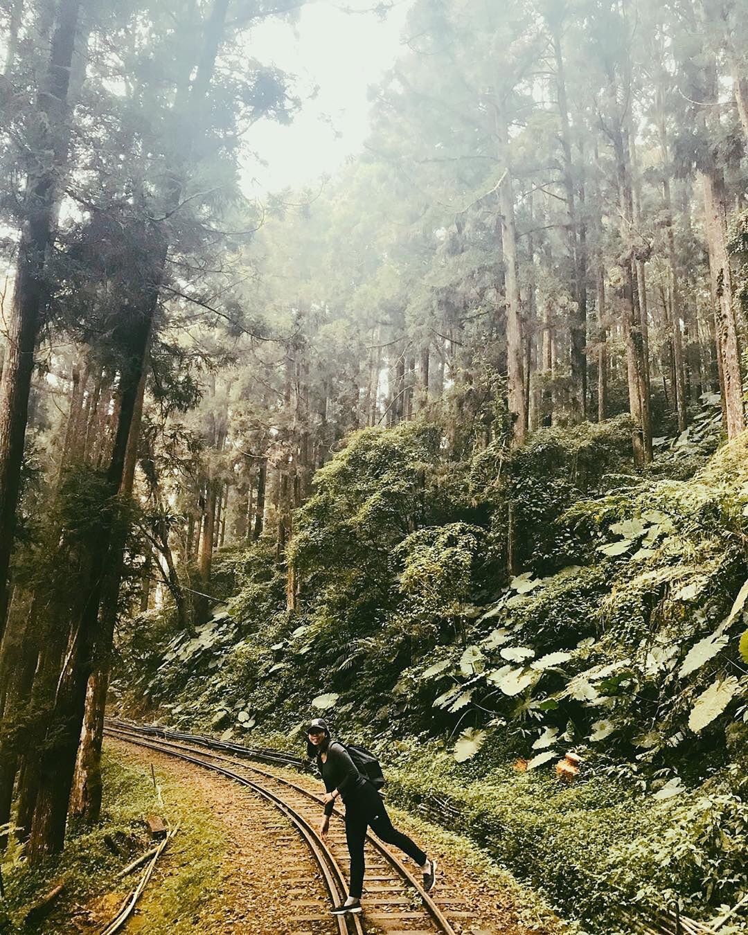 奮起湖步道來阿里山就是要拍意境照呀大年初一大家都去哪兒了呢？-感謝 @iiv__x 提供超棒照片- #travelalishan ...