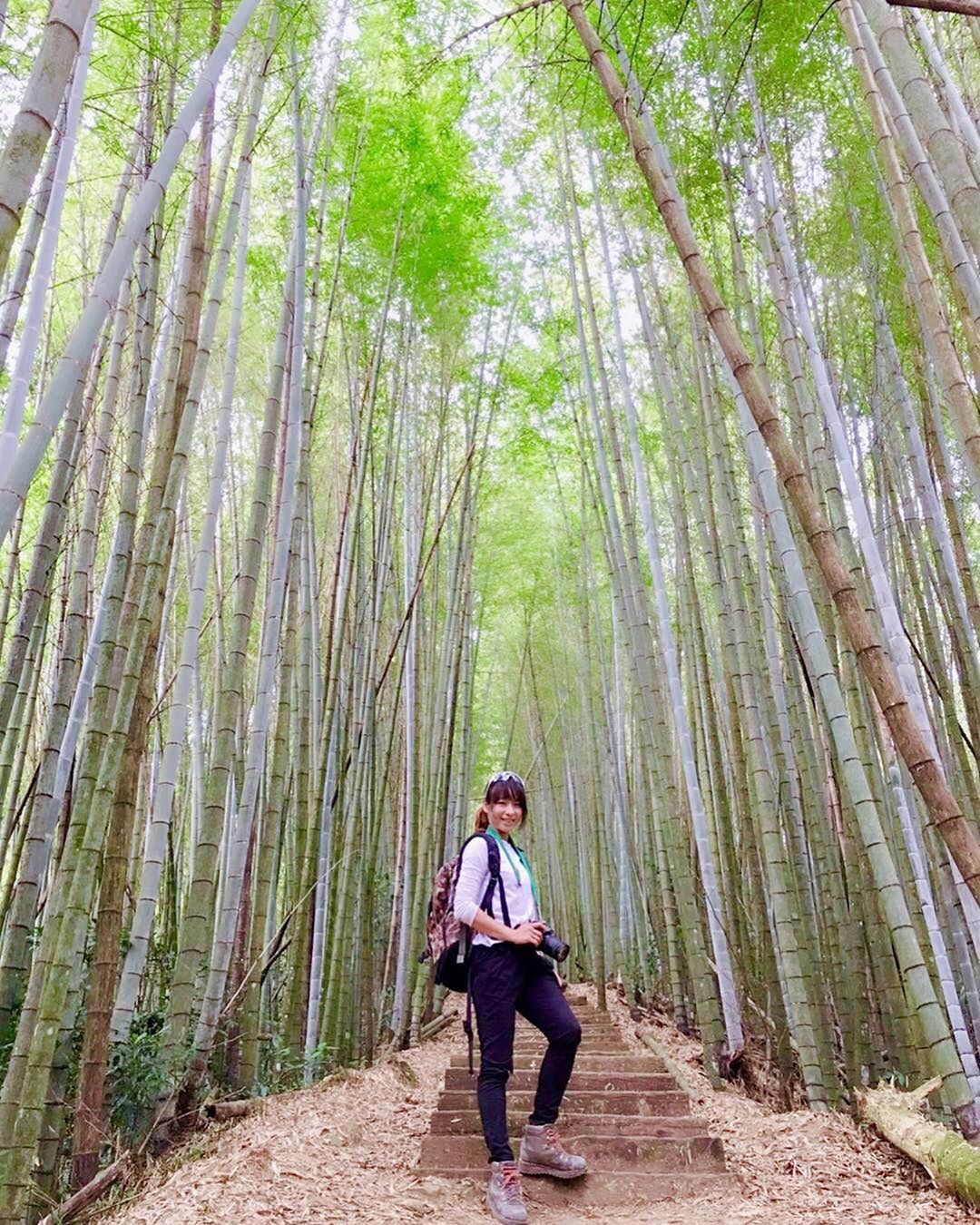 石棹-茶之道‍♀️帶著相機來阿里山拍拍照吧-感謝 @iamwindy 提供超棒照片- #travelalishan 或 @trav...