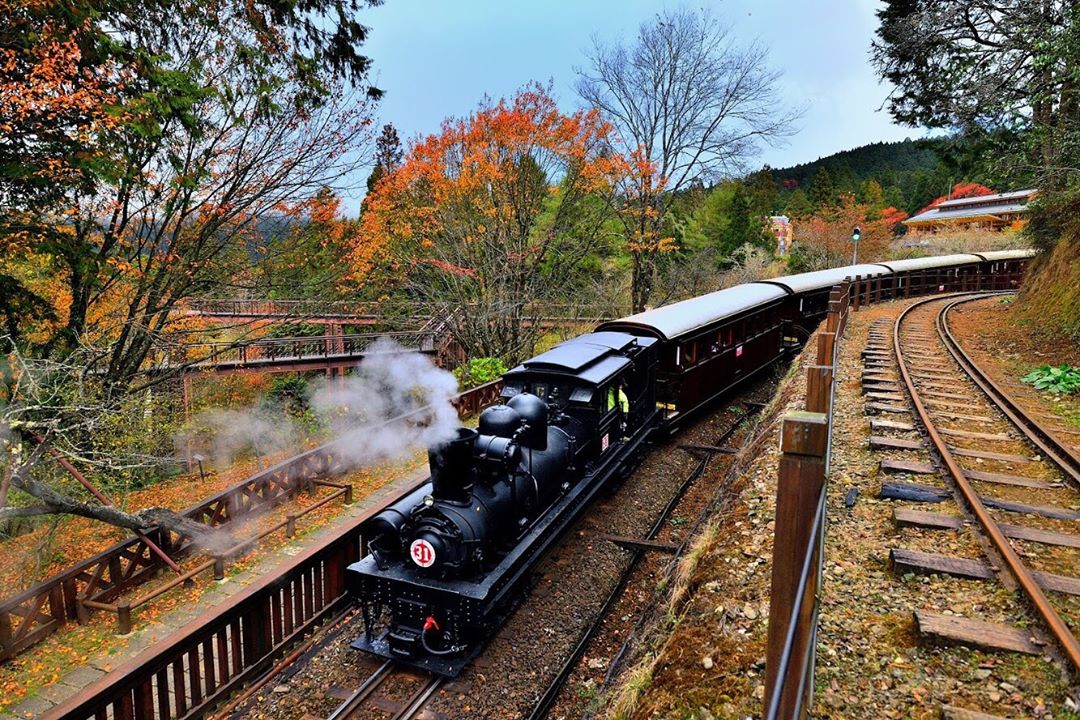 阿里山蒸汽小火車❤️⠀快 #travelalishan 或 @travelalishan 讓小編找到你就有機會在官方ig曝光喔⠀#...