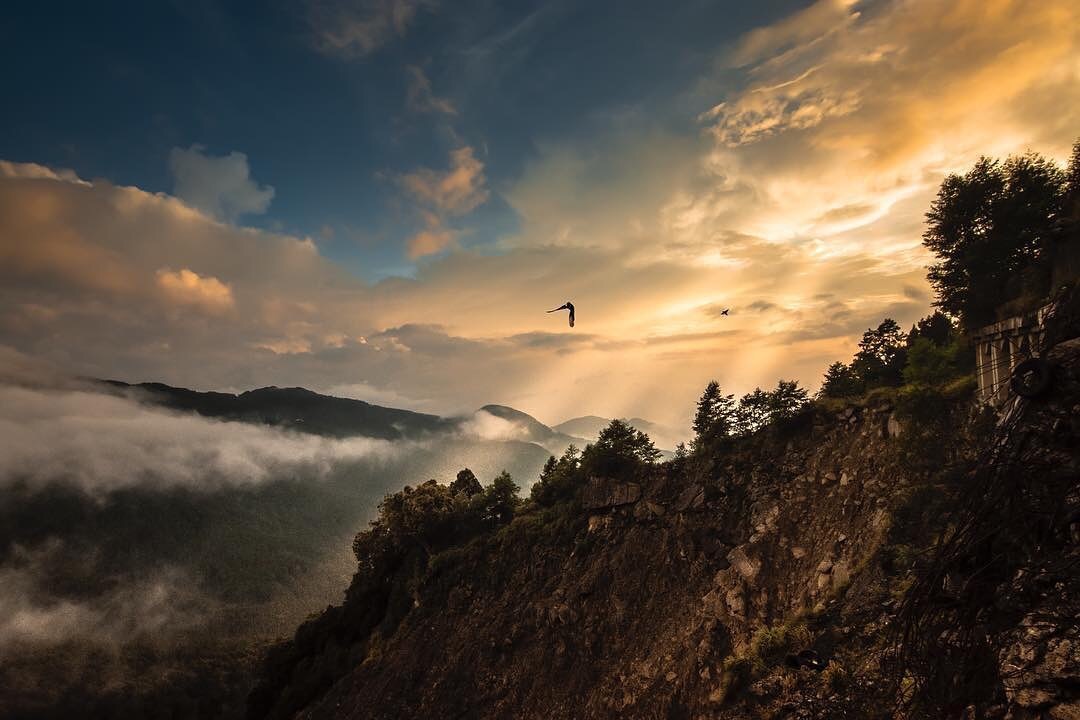 讓我們來到阿里山自由的翱翔-感謝 @kang_0113 提供超棒照片- #travelalishan 或 @travelalish...