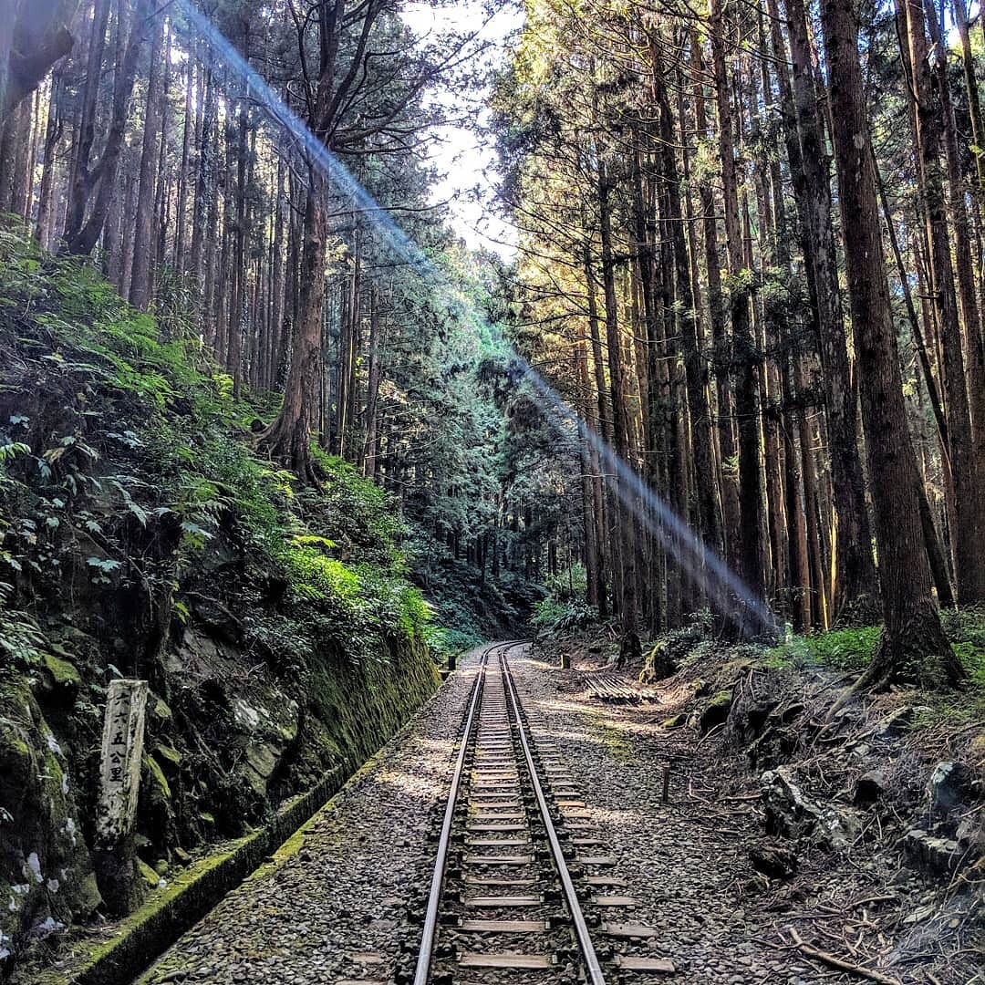 許多人上山就是為了追那道光！-感謝 @cluke056 提供超棒照片- #travelalishan 或 @travelalish...