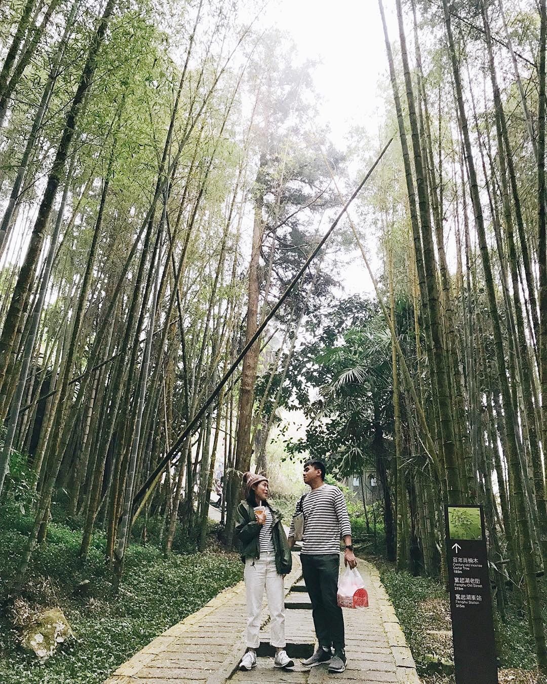 哎呀我的墨鏡去哪兒了️作伙來阿里山放閃-感謝 @picklife_world 提供超棒照片- #travelalishan 或 @...