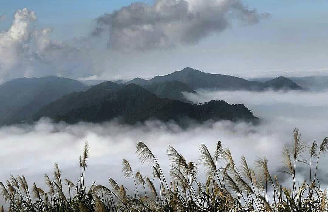 有時阿里山的景看起來就像一幅油墨畫呢⠀⠀⠀⠀⠀⠀⠀⠀⠀⠀⠀⠀- ⠀⠀⠀⠀⠀⠀⠀⠀⠀⠀⠀⠀感謝 @hor1785 分享的美照❤️-⠀...