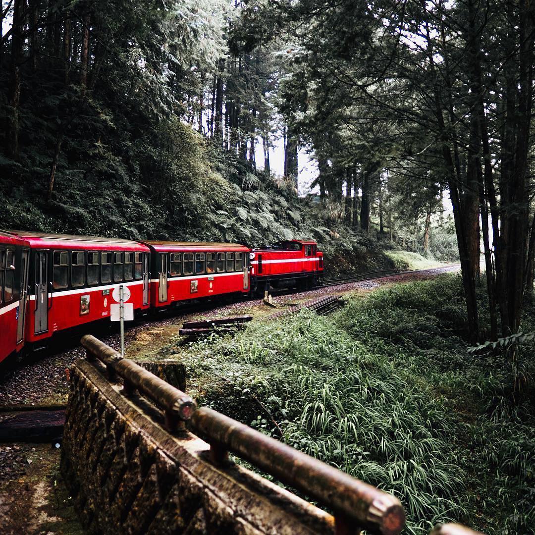 嘿，來阿里山搭個小火車吧沿途的林相風景很不一樣唷- ⠀⠀⠀⠀⠀⠀⠀⠀⠀⠀⠀⠀感謝 @p2003300 分享的美照❤️⠀⠀⠀⠀⠀⠀⠀...