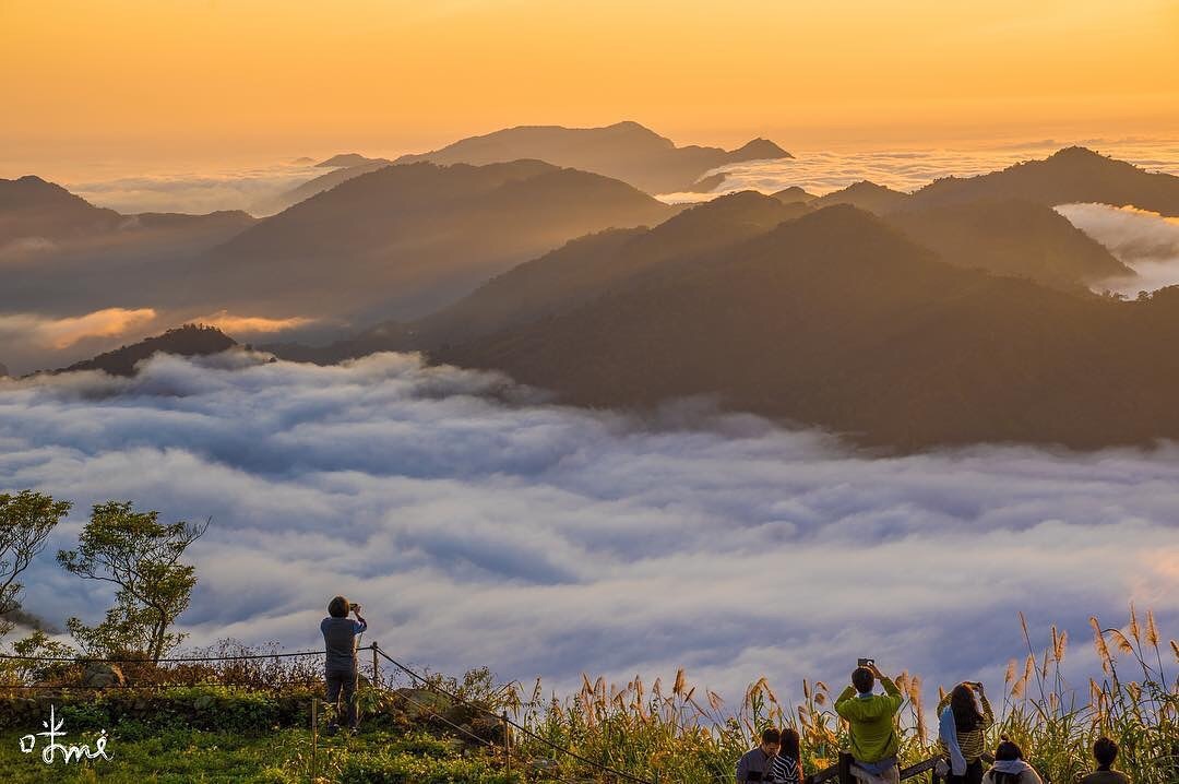 這座山、這片雲海由你獨享-感謝 @photomi_1091 提供超棒照片- #travelalishan 或 @travelali...