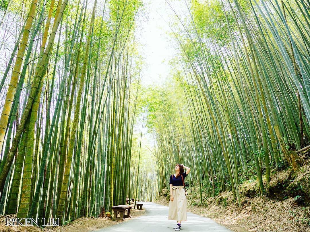 是仙女！在這翠綠的竹林拍照真是太網美了- ⠀⠀⠀⠀⠀⠀⠀⠀⠀⠀⠀⠀感謝 @riken.liu 分享的美照❤️- #travelal...