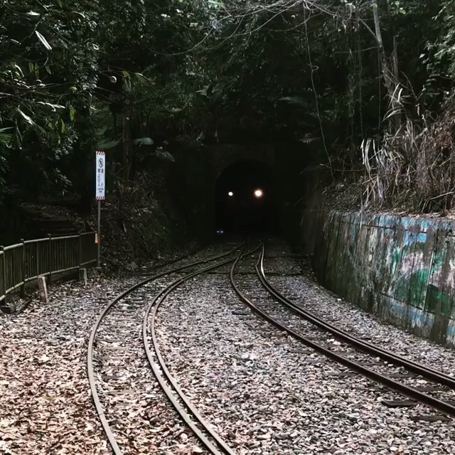 阿里山小火車ㄅㄨㄅㄨ～- ⠀⠀⠀⠀⠀⠀⠀⠀⠀⠀⠀⠀感謝 @lanceloat 分享的美照❤️- #travelalishan 或 ...