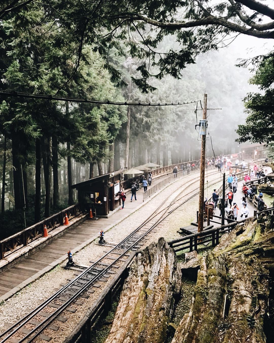 阿里山的神木車站這旁邊就是倒掉的阿里山神木目前園區內的神木是香林神木也就是咱們神木下婚禮舉辦的地點啦！- ⠀⠀⠀⠀⠀⠀⠀⠀⠀⠀⠀⠀...